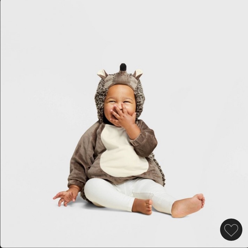EUC Baby Hedgehog Costume